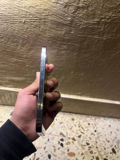 need iphone 12 pro back camera