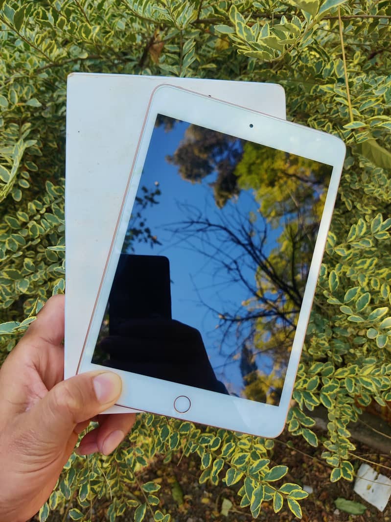 ipad mini 5 1