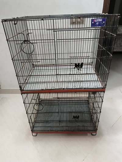 Parrots Cage