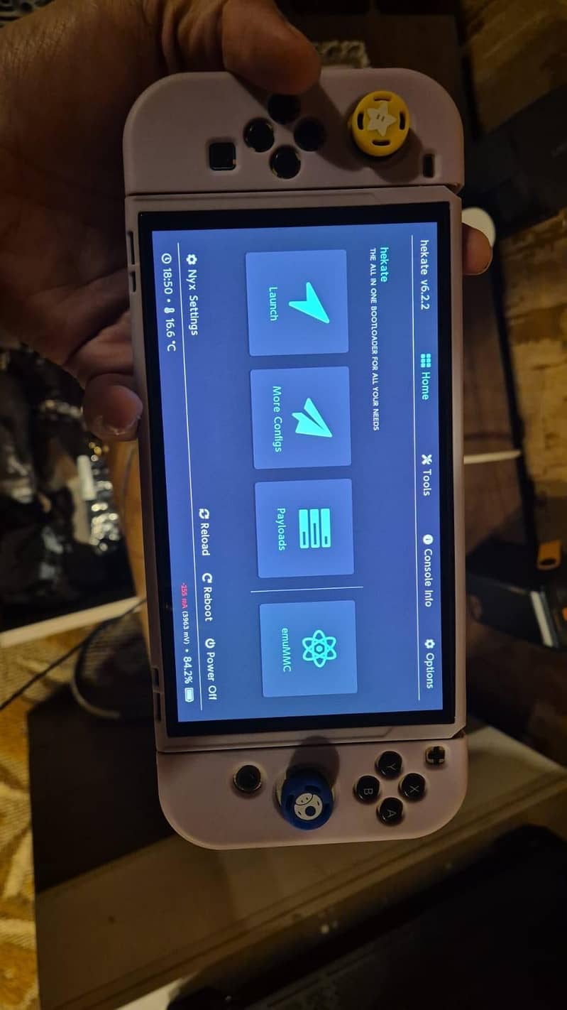 Nintendo Switch OLED Jailbroken 2