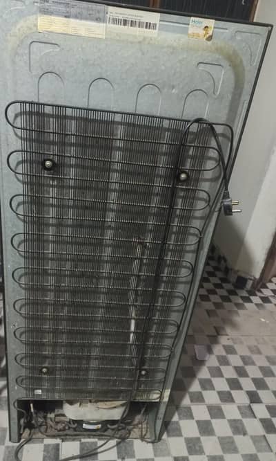 Haier 246 Red Glass Door | Stabilizer Free | With Warranty Card