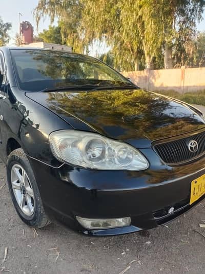 XLi 2005 B2B genuine