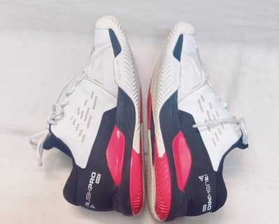 Shoes (Wilson rush pro ace)
