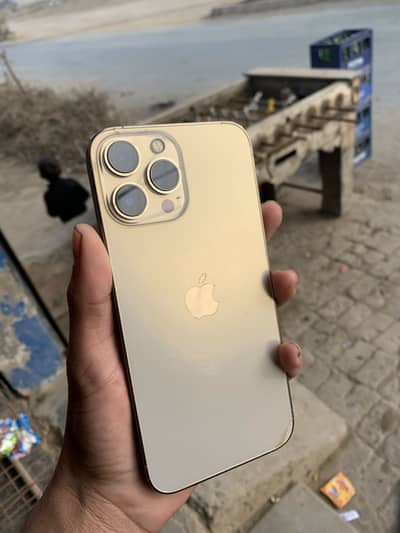 iPhone 13 Pro Max sim glitch