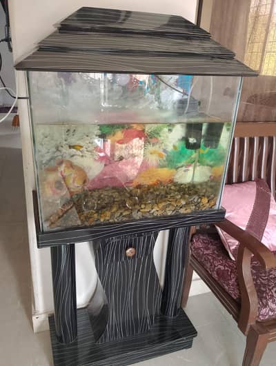 Fish Aquarium 10/9.5 used condition