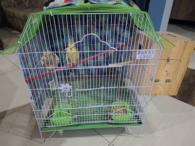 cocktail pair with cage