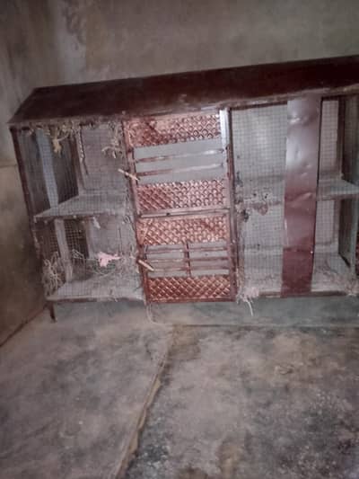 Cage for Hen ( PINJRA )
