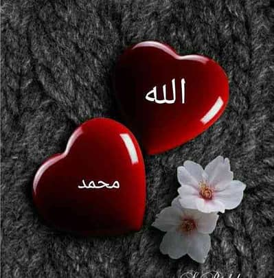 Mis Smra