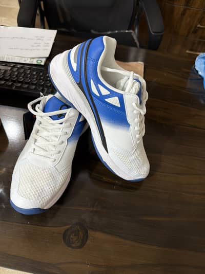 Cricket Spikes Shoes