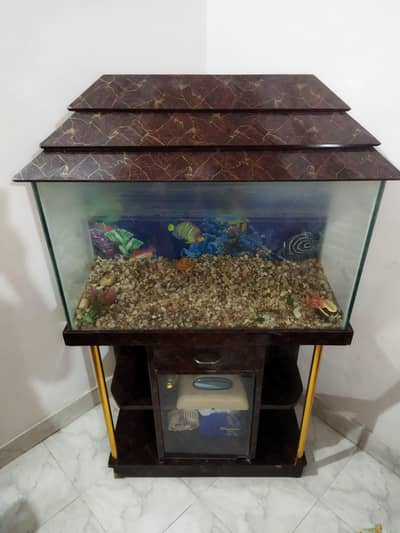 Fish Aquarium