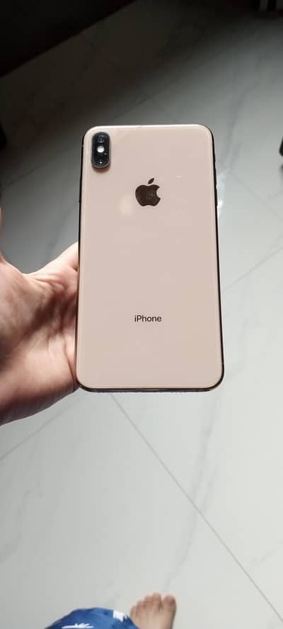 Xs max 256gb