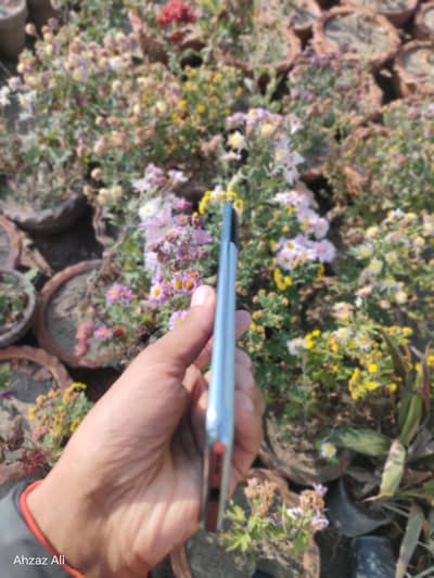 one plus 10t up for sell