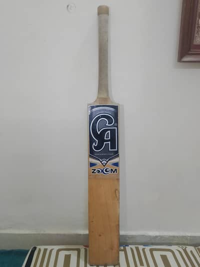 Cricket bat