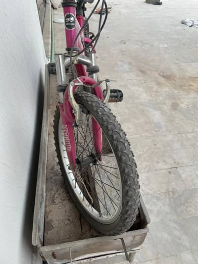 Bicycle for sale