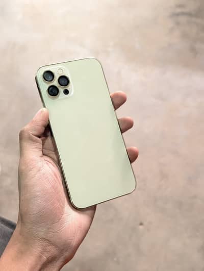 i phone 12 pro 256gb pta approved