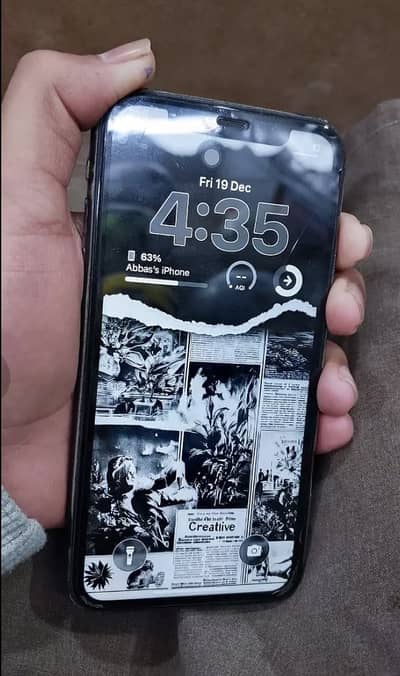 Apple iPhone 11 waterpack just battery health 72