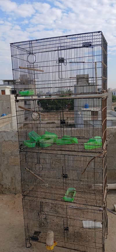 folding cage 4 portion