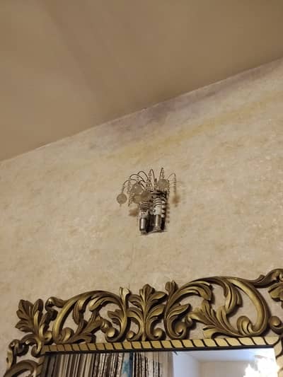 Fanoos lights for sale