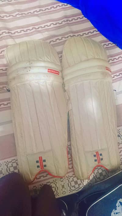cricket kit