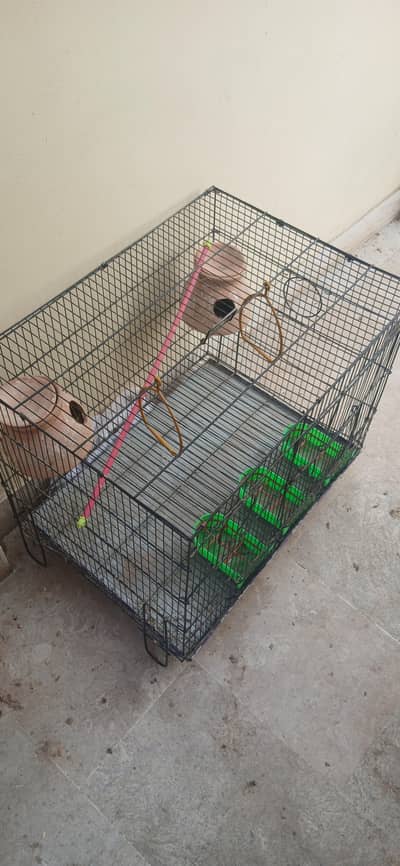 Havy iron cage, pinjra for bird's