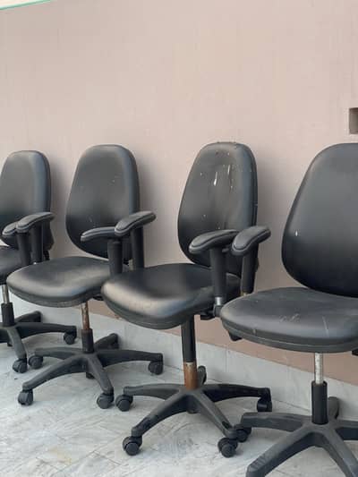 Office chairs / rolling chair