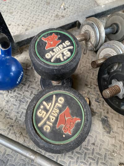 Dumbbells Weight Plates Curved Rod Straight Rod