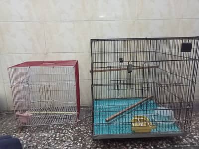 Cages for parrots