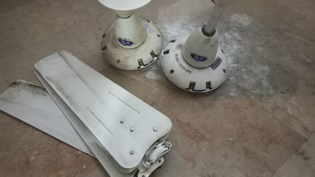 pak fans non inverter - Ceiling Fans - 1110026372