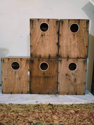 Box 550 cage 1000 call 0321.7242445