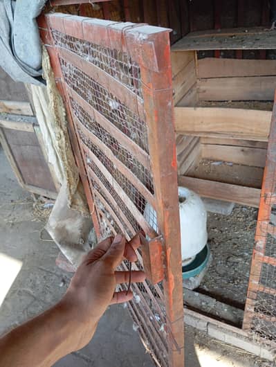 iran cage full strong