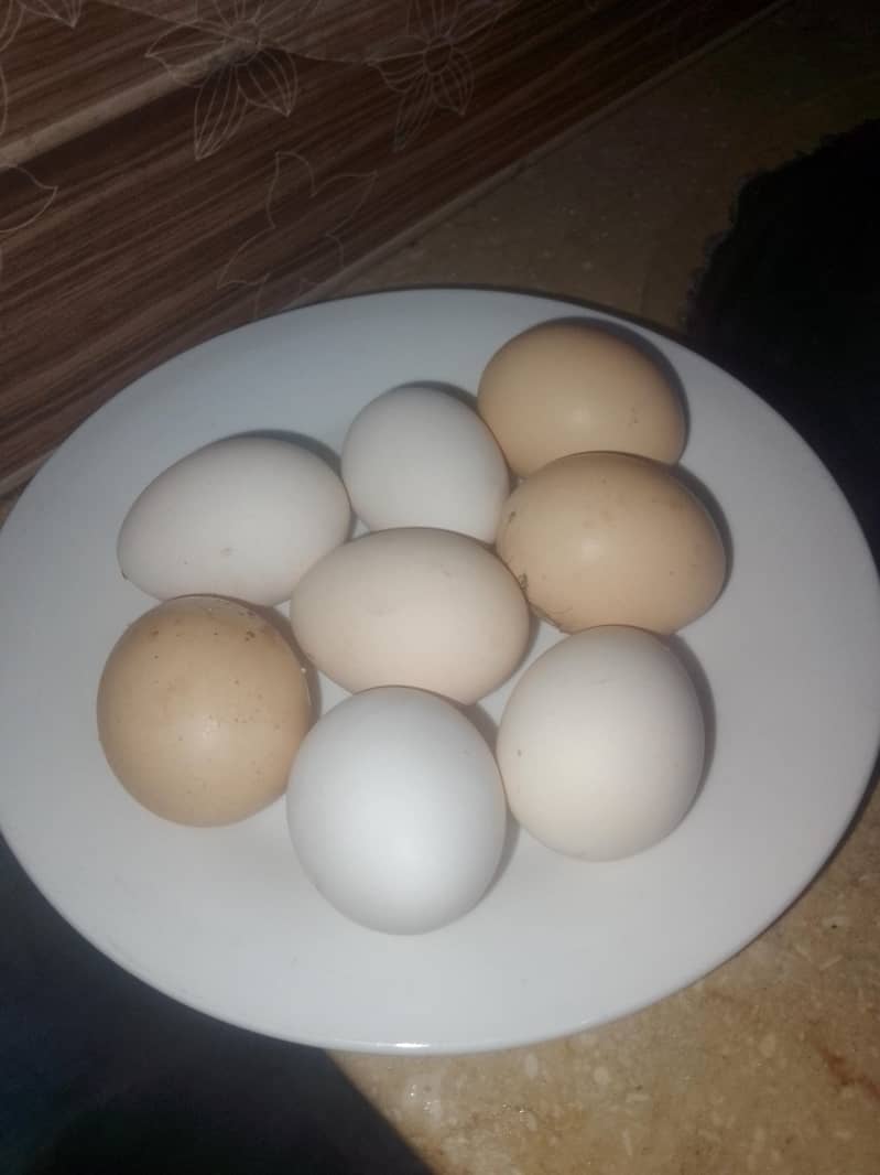 انڈے والی مرغیاں ہیں  .  چار .  .  عرد ۔۔۔ور دو پٹیاں ہیں 4