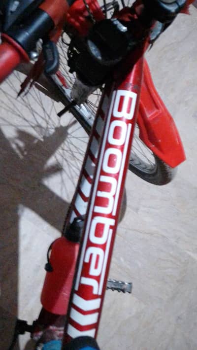 Boomer bicycle