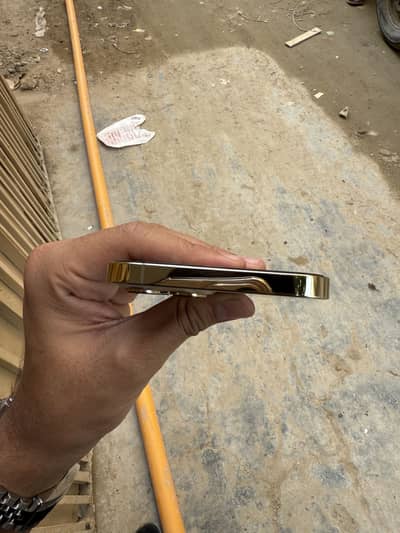 Apple iphone 12 pro max F. U