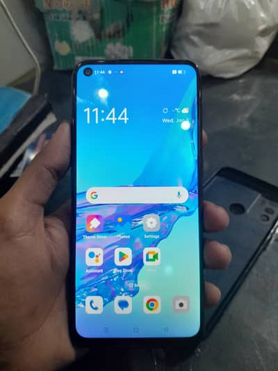oppo a53