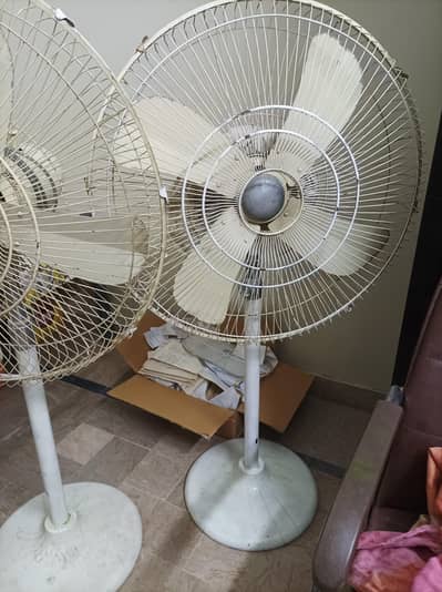 National pedestal fan