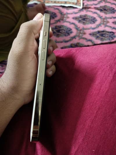 12 pro max for sale No exchange