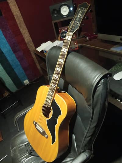 Imported Eko Ranger Italian custom 6 semi acoustic