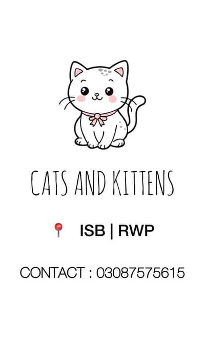 CATS AND KITTENS BUY AND SELL LOCATION ISLAMABAD / RAWALPINDI