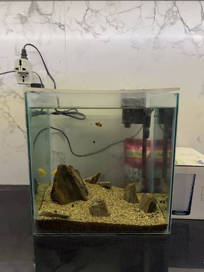 Fish Aquarium/Tank/20L