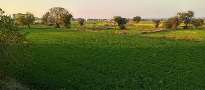240 kanal agriculture land sale in chakwal