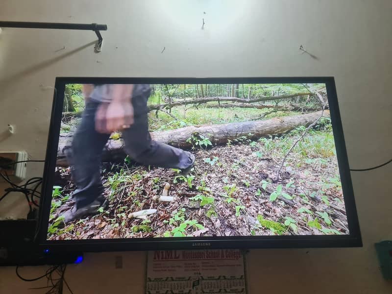 android box dolphin 0