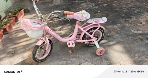 Baby cycle with side wheels