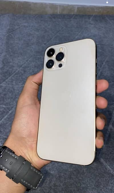 iphone 12 pro max golden colour 10 by 10