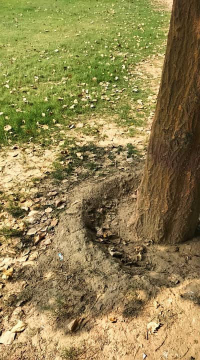 5 Marla Plot For Sale