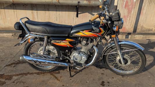 all document All punjab number 2021