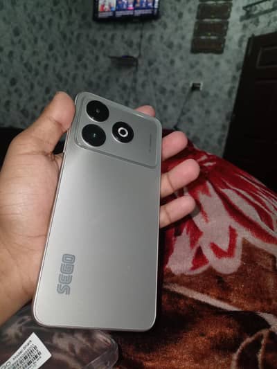 sego sharks 10 by 10