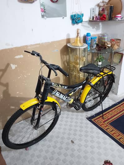 imported Cycle For Kids 26 inches