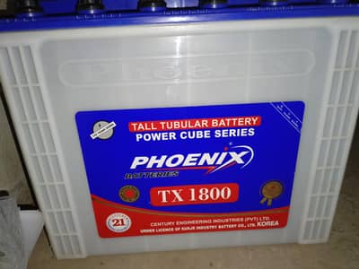 Phoines Tall tublar batteries TX 1800 6 month use