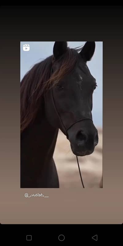 Experienced Driver Available for job