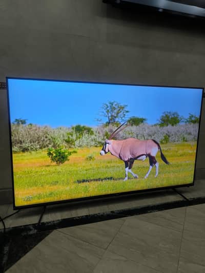 TCL 55" Android LED  For Sale